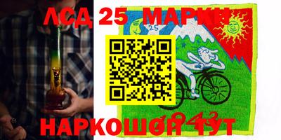 МДПВ Камень-на-Оби