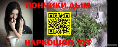 МДПВ Камень-на-Оби