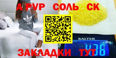 МДПВ Камень-на-Оби