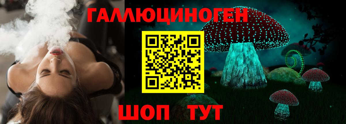 Новочебоксарск  Псилоцибиновые грибы прущие грибы  Галлюциногенные грибы Cubensis  Вход с VPN 